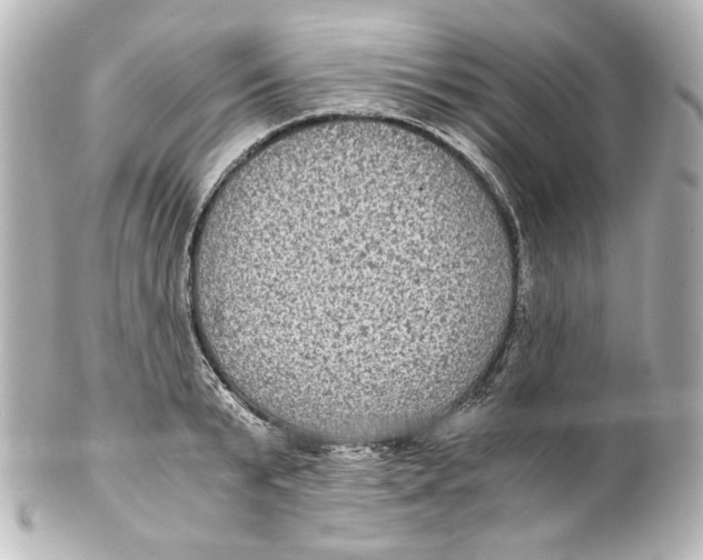 X0000101430799200807280959