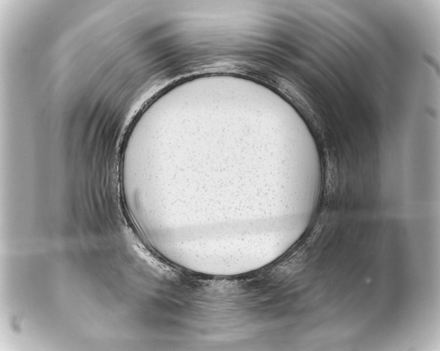 X0000101430800200807280959