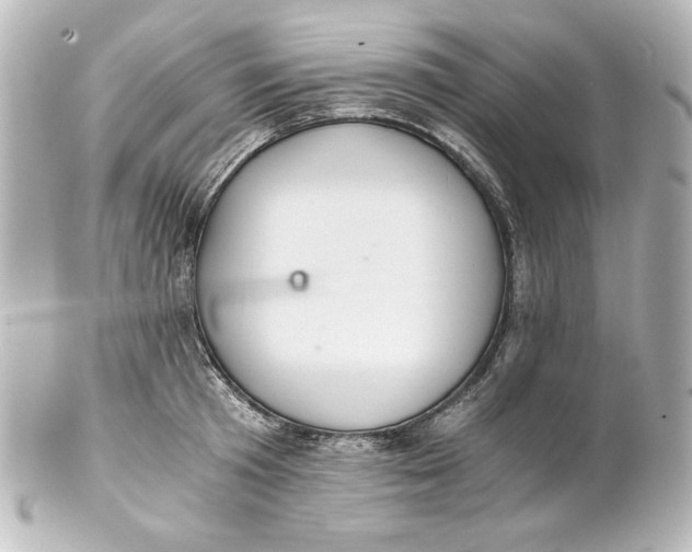 X0000101430801200807280959