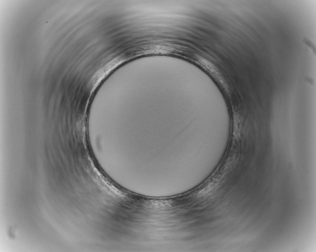 X0000101430802200807280959