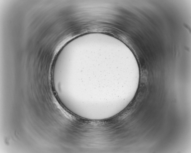 X0000101430803200807280959