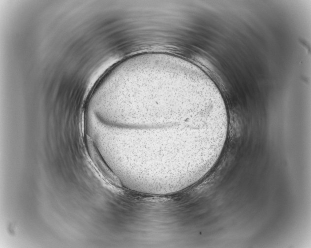 X0000101430804200807280959