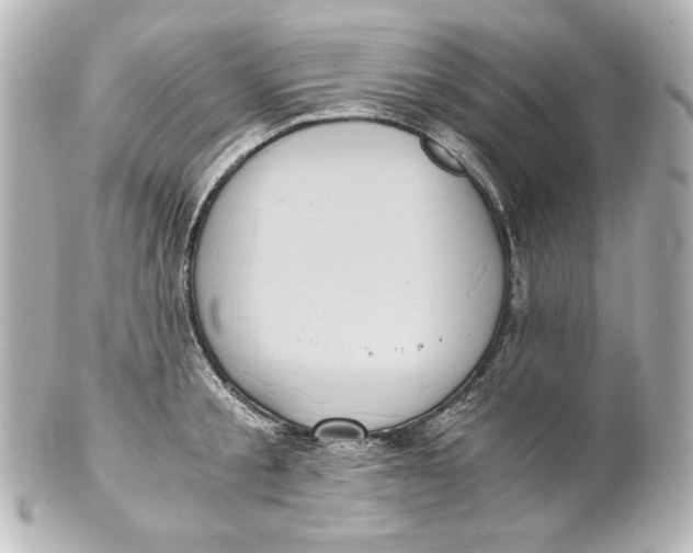 X0000101430805200807280959