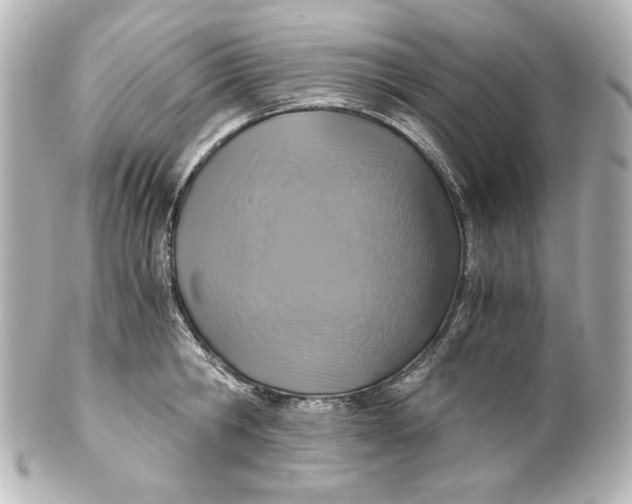 X0000101430806200807280959