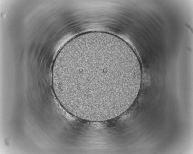 X0000101430807200807280959