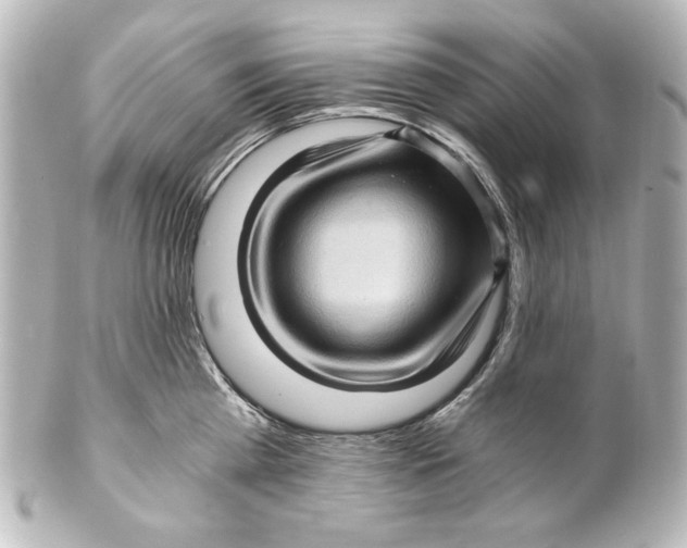 X0000101430809200807280959