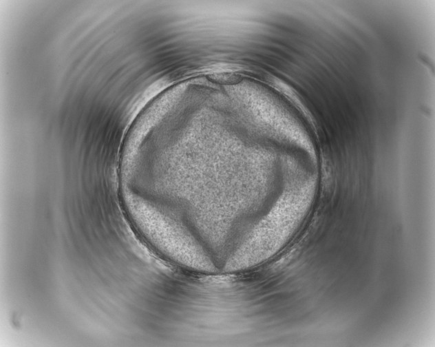 X0000101430810200807280959