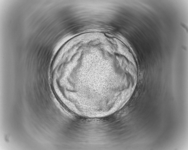 X0000101430811200807280959