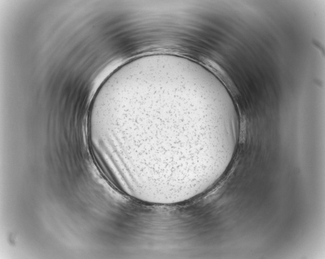 X0000101430812200807280959