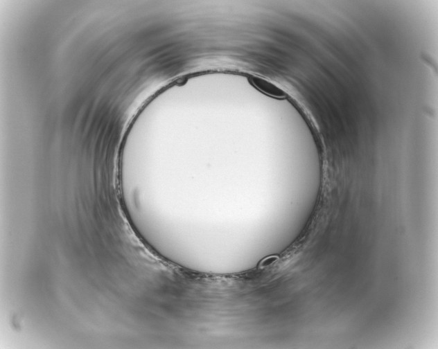 X0000101430815200807280959