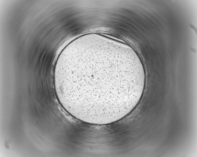 X0000101430816200807280959