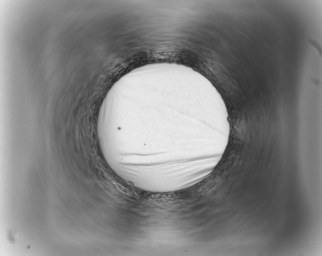 X0000101430817200807280958