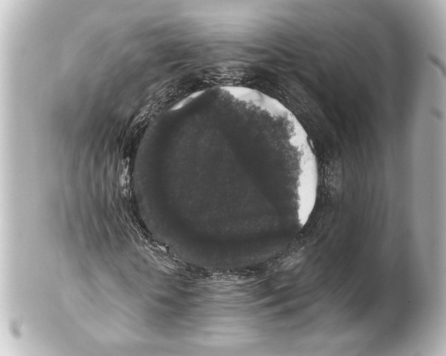 X0000101430818200807280958