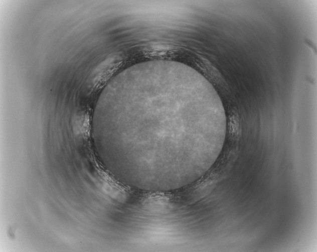 X0000101430820200807280958