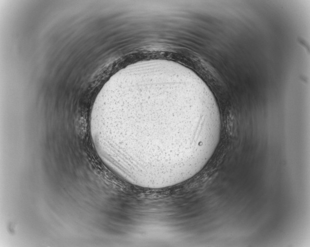 X0000101430821200807280958