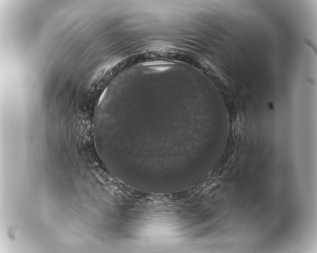 X0000101430822200807280958