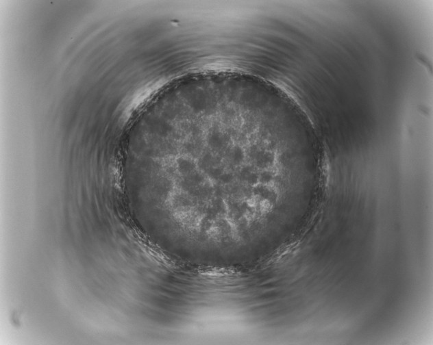 X0000101430823200807280958