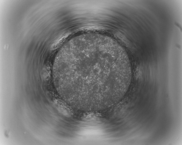 X0000101430824200807280958