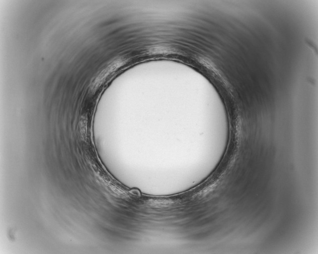 X0000101430825200807280958