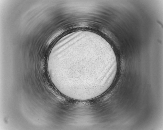 X0000101430826200807280958