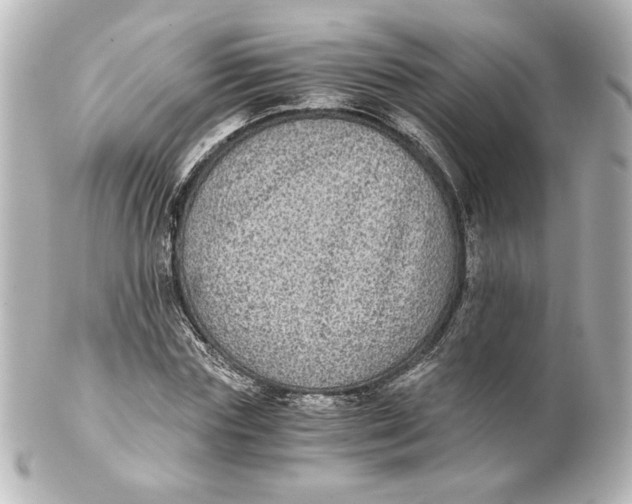 X0000101430827200807280958