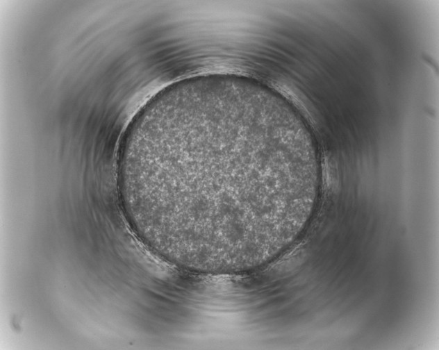 X0000101430828200807280958