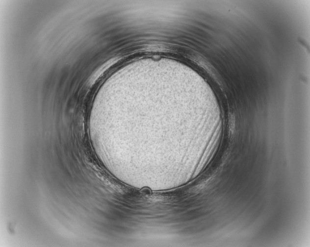 X0000101430829200807280959