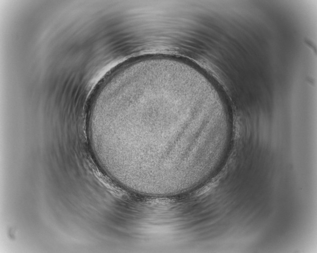 X0000101430830200807280959