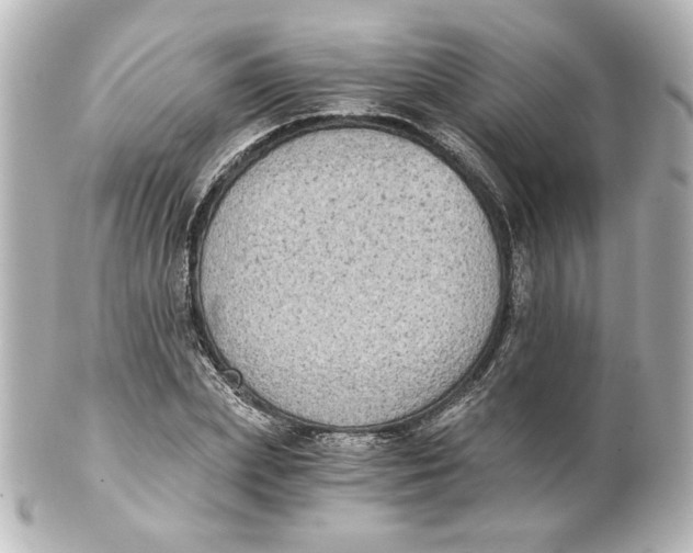 X0000101430831200807280959