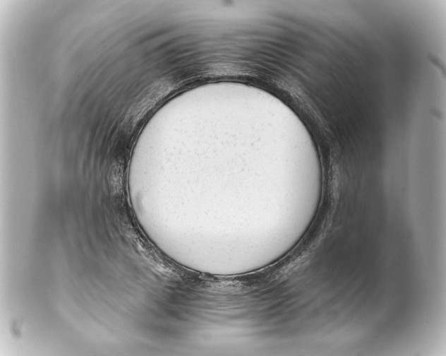 X0000101430833200807280959