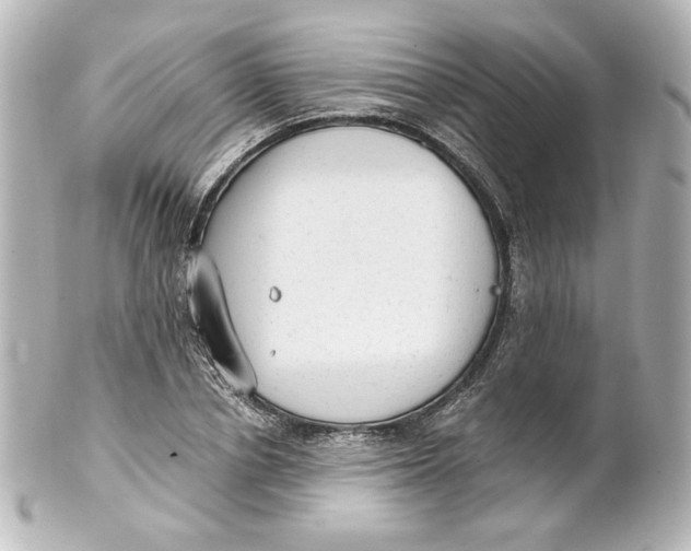 X0000101430834200807280959