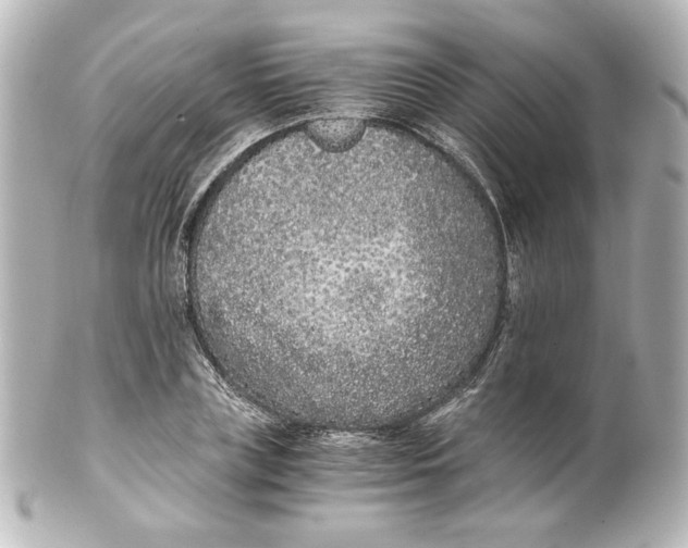 X0000101430835200807280959