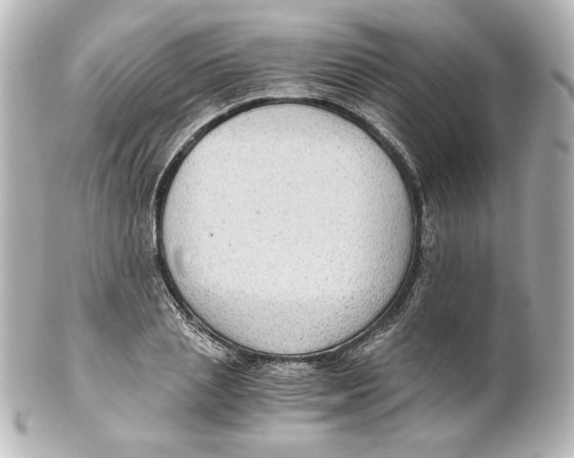 X0000101430837200807280959