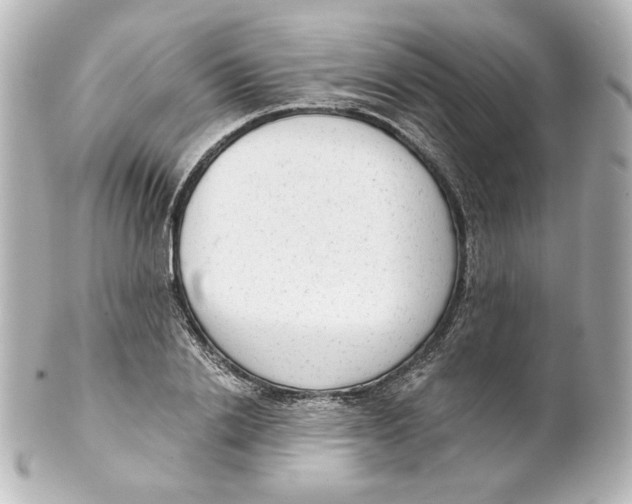 X0000101430838200807280959