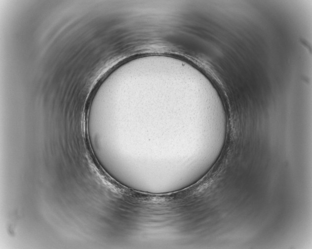 X0000101430839200807280959