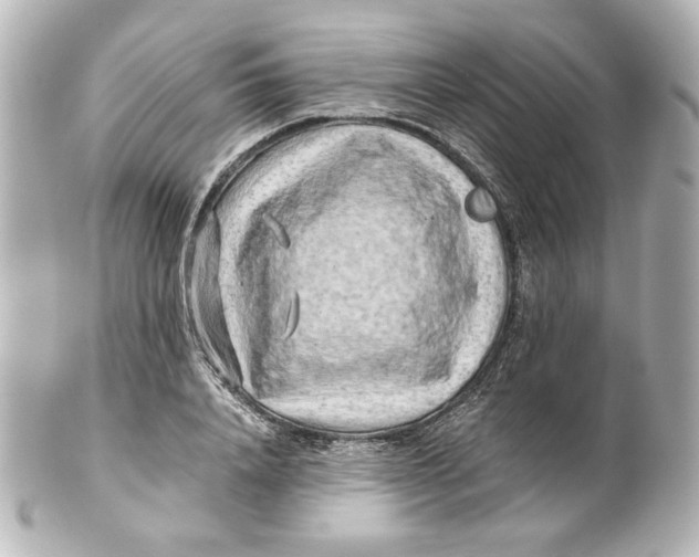 X0000101430840200807280959