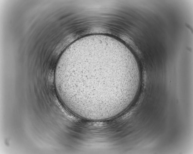 X0000101430841200807280959