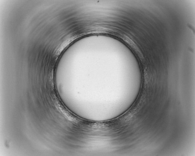 X0000101430842200807280959