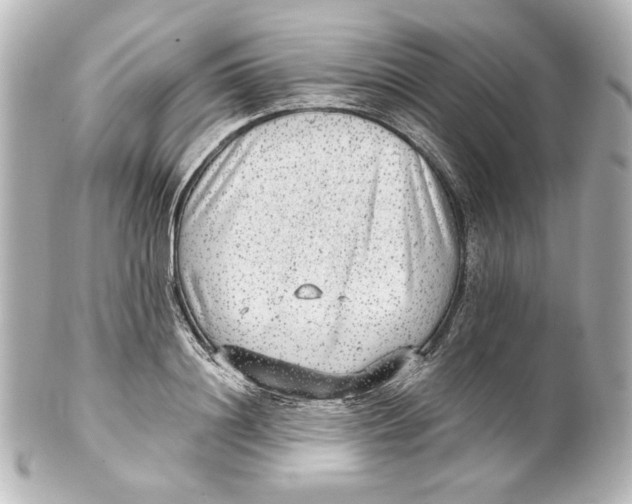 X0000101430844200807280959