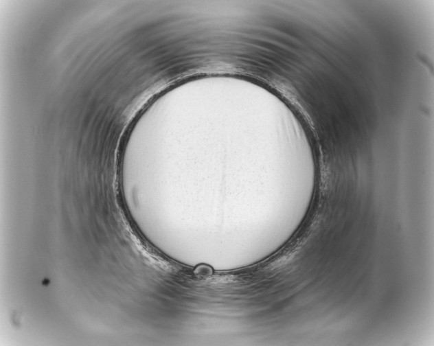 X0000101430845200807280959