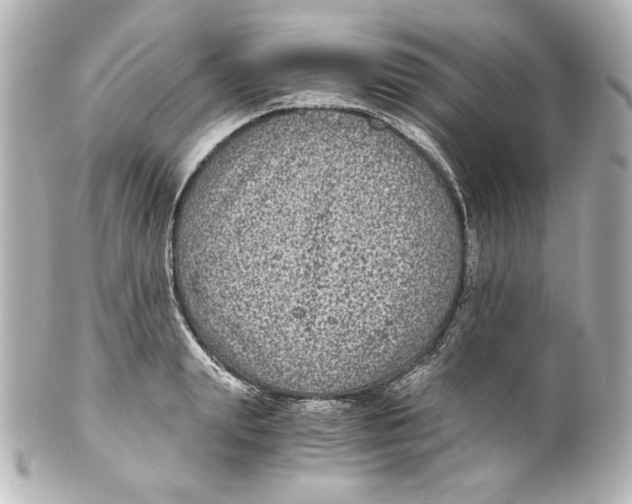 X0000101430847200807280959