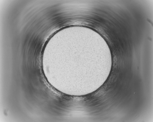 X0000101430848200807280959