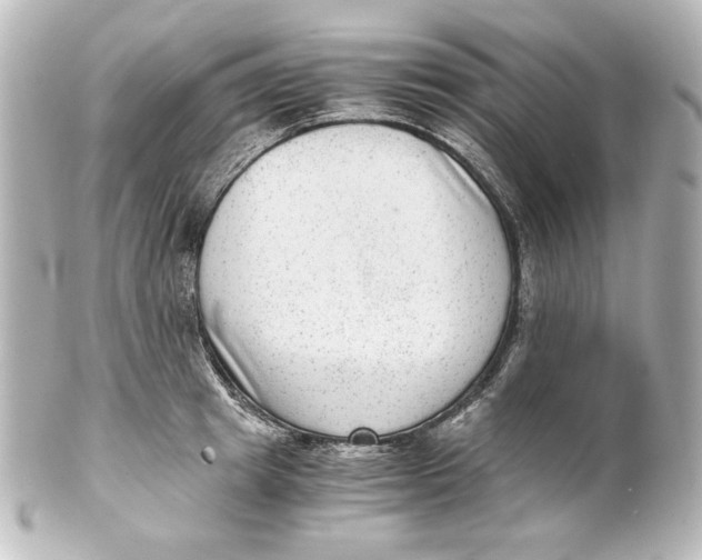 X0000101430849200807280959