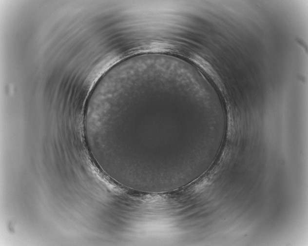 X0000101430850200807280959