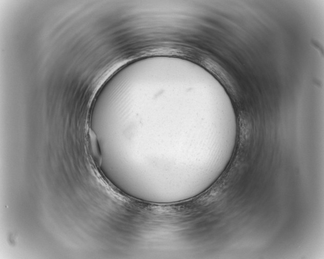 X0000101430852200807280959