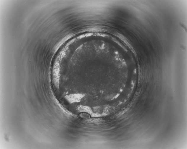 X0000101430853200807280959