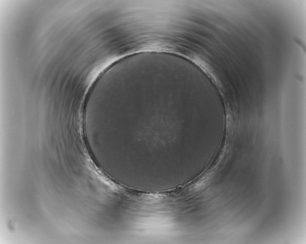 X0000101430854200807280959