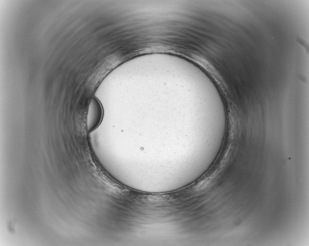 X0000101430857200807280959