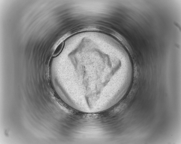 X0000101430858200807280959