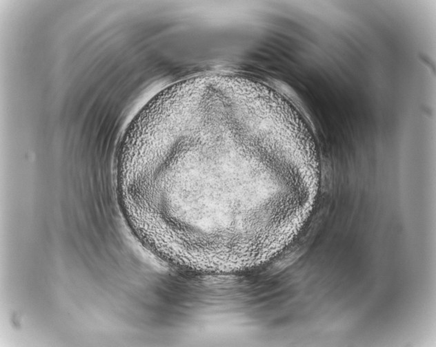 X0000101430859200807280959